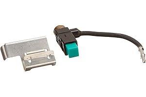 Rheem SP14410 Ignitor & Bracket