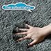 PAGISOFE Fluffy Shaggy Area Rug for Bedroom, Soft Fuzzy Rugs for Girls Boys Room Kids Room, Furry Throw Rugs for Dorm, Shag Carpet for Nursery Decor, Small Bedside Rug,3x5 Feet,Grey
