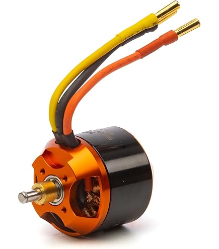 BIRD (モーガン・マッセン) Amazon.com: Spektrum Avian 5055-650Kv Outrunner Brushless