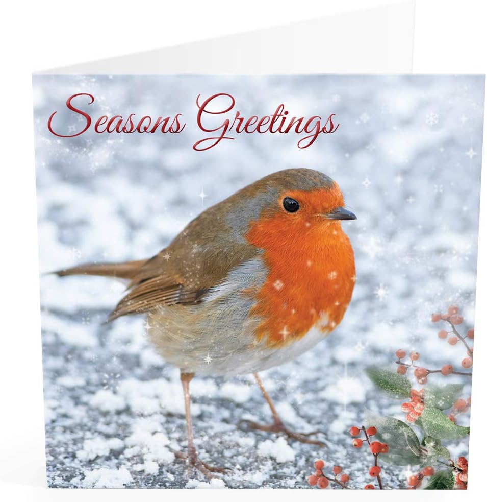 Christmas Cards Pack of 20 by Paper Themes The Luxury Collection British-Made Quality Beautiful Xmas Cards Pack - Christmas Robin