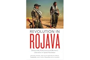 Revolution in Rojava: Democratic Autonomy and Women's Liberation in the Syrian Kurdistan