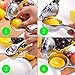 E-PRANCE Lemon Squeezer - Lemon Lime Juicer Citrus Squeezer Hand Press with High Strength and Heavy Duty Design, Press Juice from Fruit or Vegetables, Silver