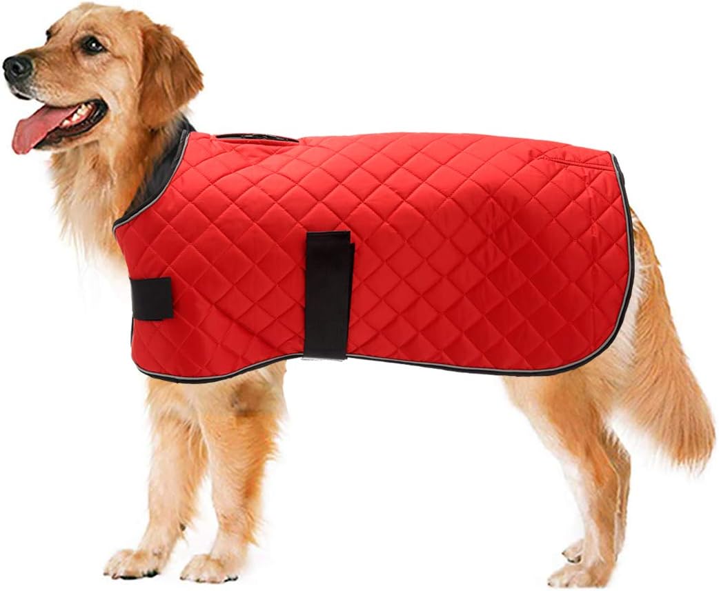 giacca da neve per cani