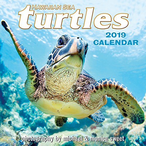 Sea Turtle Calendars 2019 Sea Turtle Calendar Options