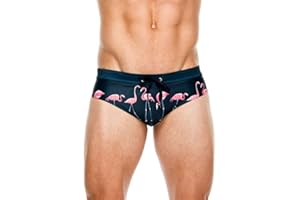 Lukitty Men's Flamingo Print Thong Swimwear Bikini Pouch Briefs Beach Swimsuit