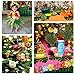MOMOTOYS 96 Pcs Tropical Party Decorations Supplies Tropical Palm Leaves Hibiscus Flowers Artificial Faux Monstera Leaves Stem Hawaiian Luau TIKI Safari Jungle Beach Aloha Birthday Party Table Decor