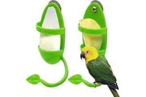 PAULOZYN 2PCS Bird Cuttlebone Stand Holder Feeding Cup Rack Birdcage Accessories with Perches Supplies Fruit Vegetable Storage for Budgies Parakeet Cockatiel Conure Lovebird Finches, Green