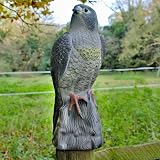 Defenders The Big Cheese Standing Falcon Life-like Deterrent Beige 14in view 2