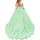 Girls Pageant Dress Off Shoulder Lace Appliques Flower Girl Dresses for Wedding Tulle Long Prom Ball Gown for Kids Mint Green 10