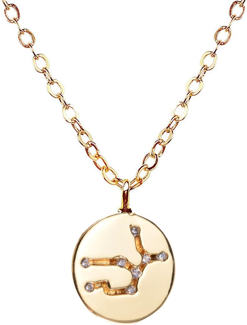 VIVIove Gold Zodiac Constellation Necklace Disc Horoscope Necklace Anniversaries Birthday Gifts