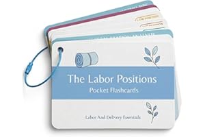 Labor Positions Pocket Guide | Doula Supplies & L&D Nurse Essentials | Organized by Fetal Station (High, Mid, Low) | Epidural