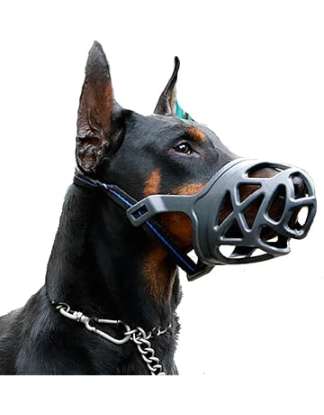 pitbull muzzles amazon