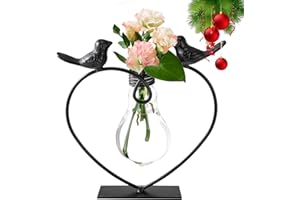 Whaleme Desktop Plant Planter Bulb Vase Holder Birthday Gifts for Women Mom, Indoor Air Plants Terrarium Hydroponics Propagation Stations Home Garden Office Desk Decor