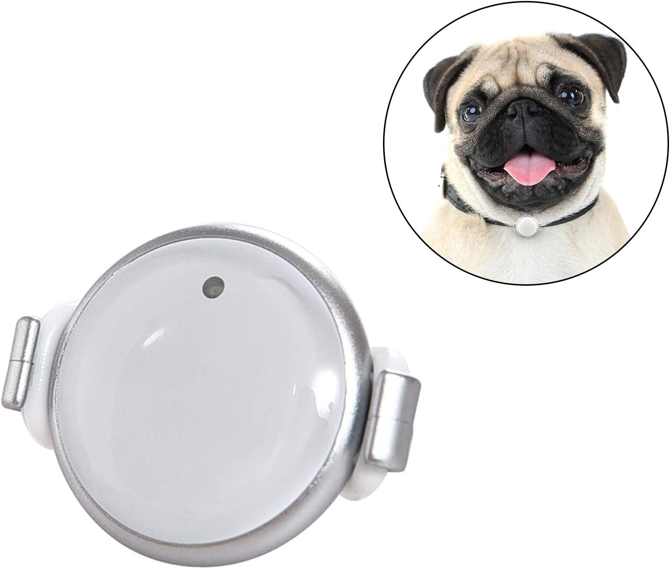 dog pedometer amazon