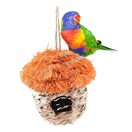 Pandada Nichoirs Oiseaux Bois Deconichoirs Oiseaux Extérieurmaison Doiseau En Tissage à La Main Nid Décologie Et Décoration Pour Cage à