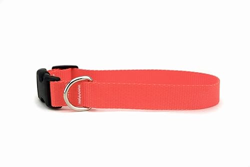 Neon orange dog collar Clearance