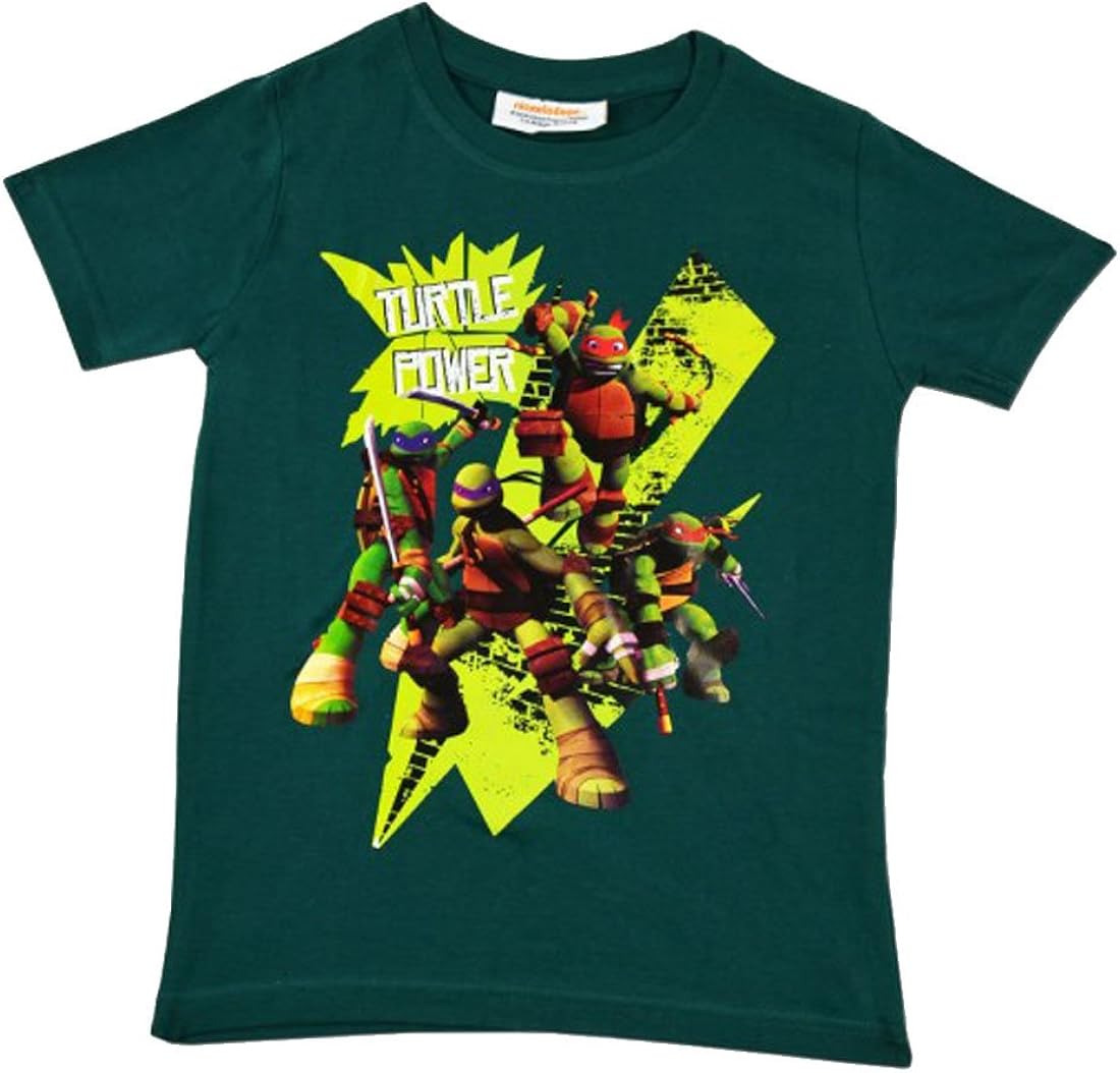 tortues ninja t shirt