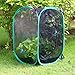 Qingo Collapsible Insect and Butterfly Habitat cage Terrarium Pop up open - 23.6 Inches Tall (White) (Black)