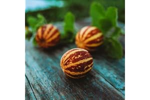 THRESH SEED CO. Rich Sweetness 132 Melon - 25 Seeds - Unique Striped Melon Variety, Sweet White Flesh Tastes Like Cantaloupe, Non-GMO Heirloom Melon Seeds for Planting in The Home Garden, Thresh Seed Company