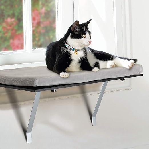 amazon cat window bed