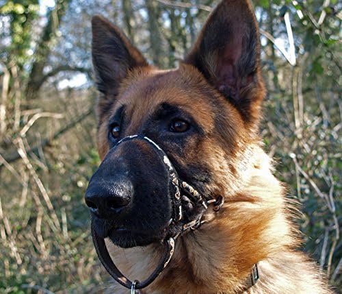DOGMATIC HEADCOLLAR PADDED CUSHIONED WEBBING PCW - BLACK - SIZE 4