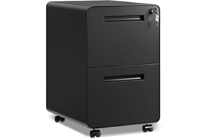 DEVAISE 2-Drawer Rounded Corner Metal File Cabinet with Lock, Mobile Filing Cabinet Under Desk for Home Office, Fully Assembled Printer Stand fits Letter/Legal Size, Black, 20" D x 15.8" W x 25" H