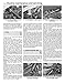 2003-2006 Kawasaki Ninja 636 ZX6 ZX6R ZX6RR HAYNES MANUAL 4742