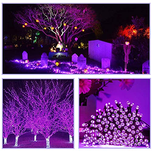 2-Pack 39ft 100-LED Solar String Lights Outdoor, 8-Lighting Modes Solar Christmas Lights Waterproof Green Wire Purple Halloween Lights for Outdoor Garden Party Wedding Halloween Decorations(Purple)