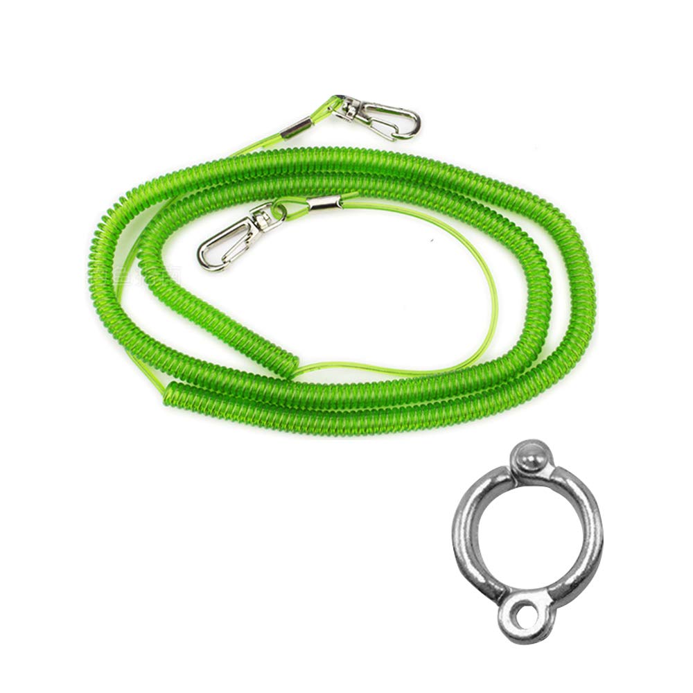 parrot leash for sale