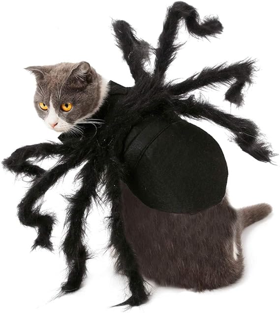 Halloween Pet Spider Costume for Cats &amp; Small Dogs, Puppy
