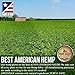 Hemp Oil Salve for Pain Relief - 2000 Mg - Fast Acting & Natural - Knee, Muscle, Joint, Neck & Back Pain Relief - Premium Hemp Oil Made in USA - Anti Inflammatory Hemp Balm - MAX Efficacy - No GMO