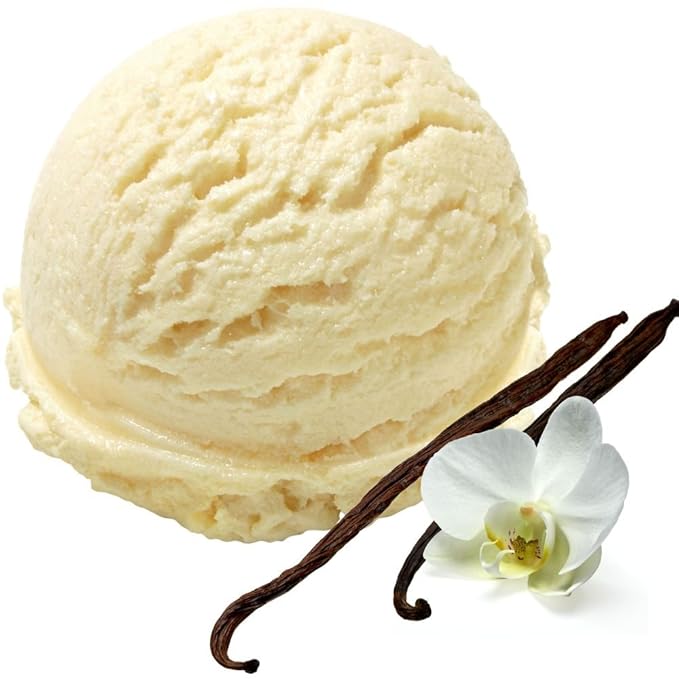 Vanilla icecream powder For Soft ice machine vegan no sugar soft
