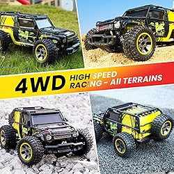 1:10 Scale All Terrain RC Cars, 48 KPH High-Speed