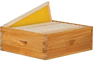 THXBEES 10 Frame Medium Super Box for Honey Bee Hives Beeswax Coated Langstroth Medium Bee Hive Box Includes Beehive Frames and Waxed Foundation Sheets (Unassembled)