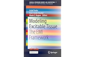 Modeling Excitable Tissue: The EMI Framework (Simula SpringerBriefs on Computing Book 7)