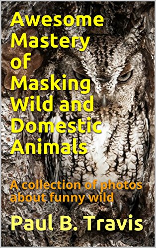 Awesome Mastery of Masking Wild and Domestic Animals: A collection of photos about funny wild