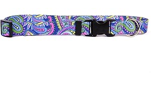 Yellow Dog Design Paisley Power Dog Collar, X-Small-3/8 Wide and fits Neck Sizes 8 to 12"
