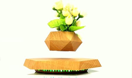 Magneticland Babylonia Mini Garten Schwebend Hexafly Nachbildung Amazon De Kuche Haushalt