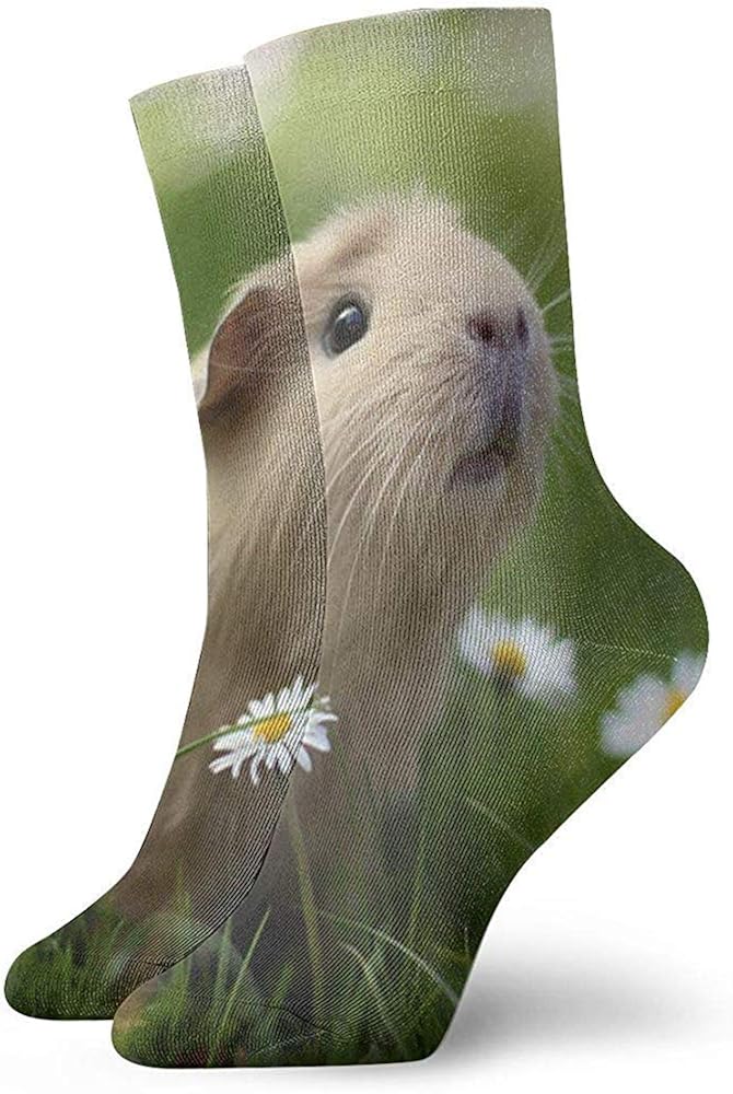 Crew Socks Compression Athletic Socks Cute Guinea Pig Dress Socks