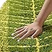 BOBO Leaf-shaped Carpet Soft Carpet Slip Resistant water absorption Floor Mats For Parlor Living Room Bedroom Home Supplies (Size: 40 60 cm / 15.7