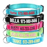 Moonsea Personalized Dog Collar,Custom Embroidered pet ID Collars with Hook Fastener Name Patch Tapes for XSmall, Small, Medium, Large Dogs (Collar with ID Patch)