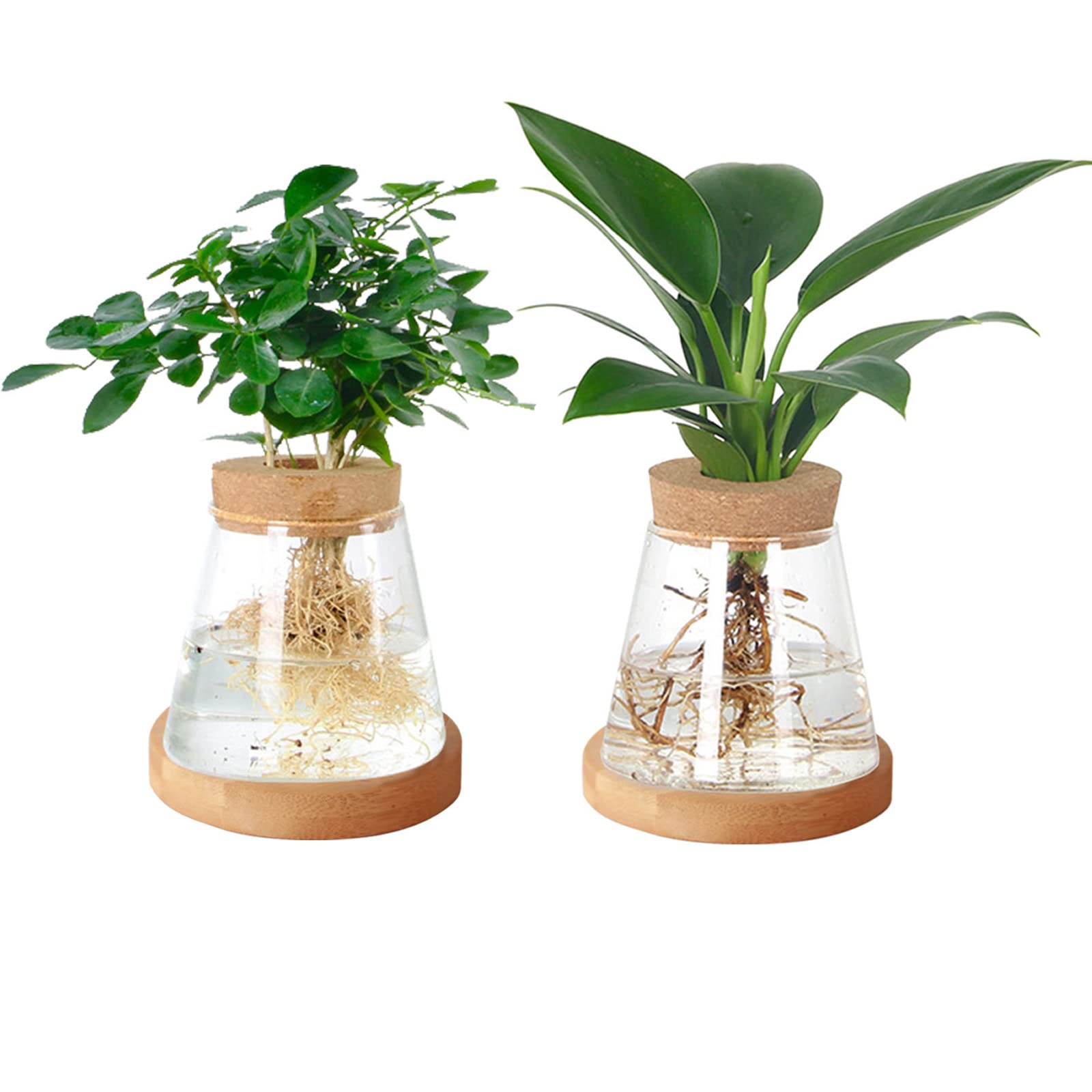 2pcs Desktop Plant Propagation Station Terrarium Glass Planter Vase with Cork Lid and Bamboo Stand for Growing Aquaponic Hydroponic Home Office Desktop Decor Gardening Gifts 3.74" H * 4" D