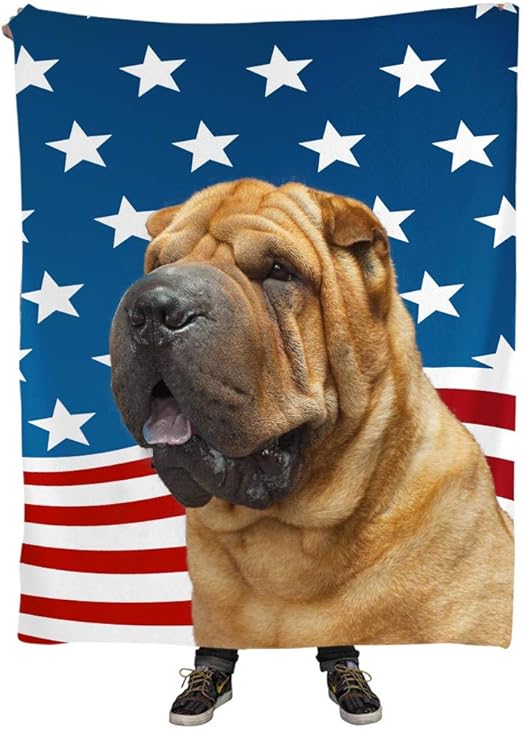 shar pei american