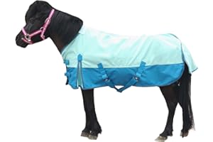 Gallopoff Mini Horse/Pony/Foal/Miniature Size 36"-51" Lightweight Waterproof & Breathable 1200 Denier Turnout Blanket with No Filling Turquoise 48"