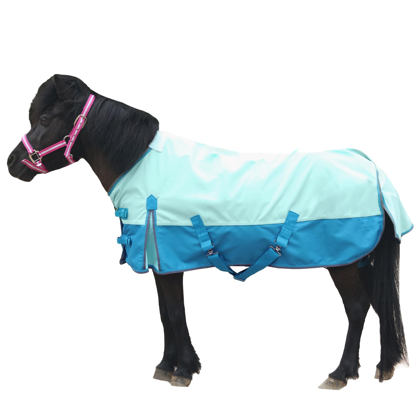Photo 1 of Gallopoff Mini Horse/Pony/Foal/Miniature Size 36"-51" Lightweight Waterproof & Breathable 1200 Denier Turnout Blanket with No Filling Turquoise 42"