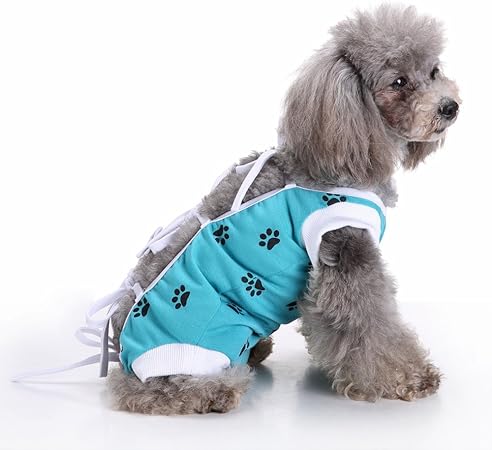 catnip banana cat toy