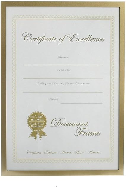 Gilt Surround Certificate Photo Frame Amazon Co Uk Kitchen Home