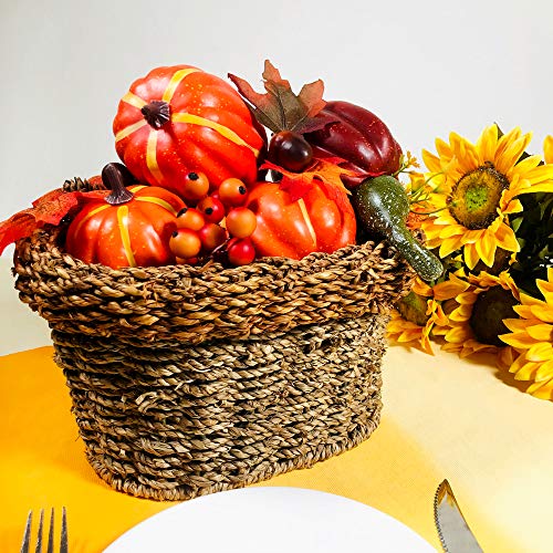 Algopix Similar Product 12 - Winlyn Package of 6 Assorted Size