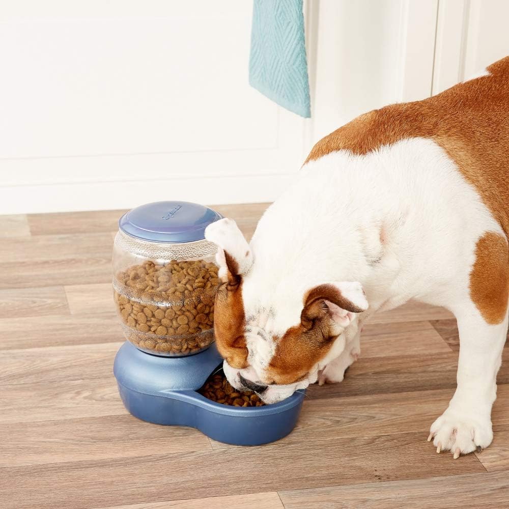 Pet Supplies : Petmate Replendish Feeder with Microban Automatic Cat and Dog Feeder 4 Sizes Available : Pet Self Feeders : 