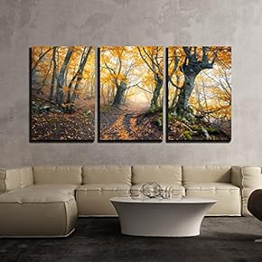 3 Piece Canvas Wall Art - Mysterious Dark Old Forest in Fog. Autumn Morning in Crimea - Modern Home Art Stretched and Framed Ready to Hang - 16"x24"x3 Panels